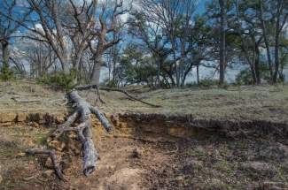 Wet weather creek