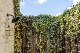 Texas Sage- outdoor shower