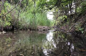 Wet weather creek