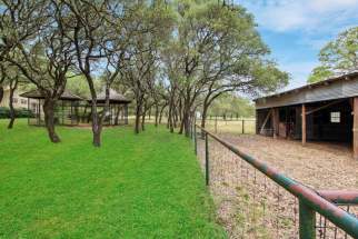 Barn & aviary