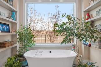 Master bathroom