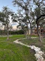 Front-House-green-grass