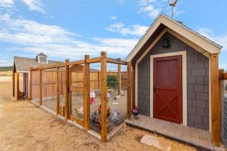 Chicken coop with pen