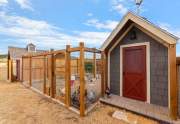 Chicken coop with pen