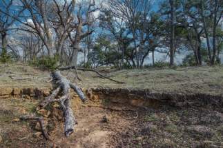 Wet weather creek