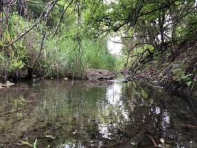 Wet weather creek