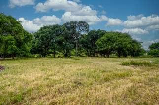 Pasture heading down to creek