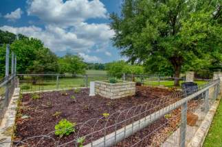 Back yard garden