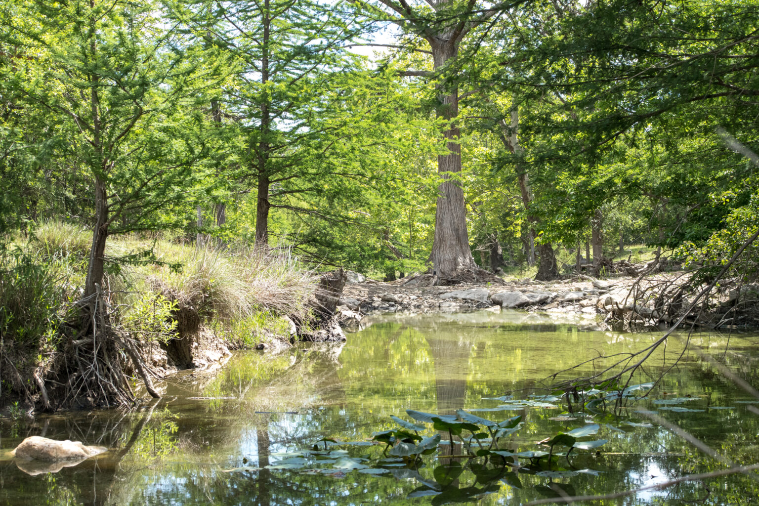 4121 Grapetown Rd Fredericksburg TX Land For Sale • Fredericksburg TX