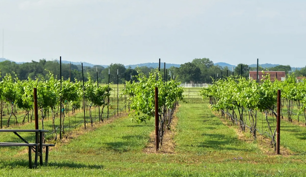 Winery Tasting Room For Sale Texas Hill Country